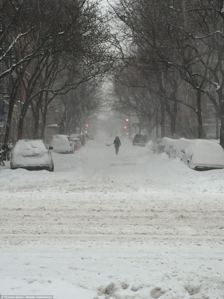 308392DF00000578-3413634-Snow_is_continuing_to_fall_across_New_York_on_Saturday_and_is_du-a-43_1453624632141