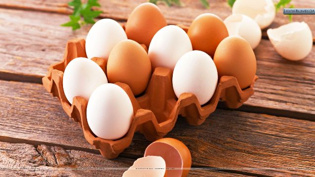 Egg-In-Tray