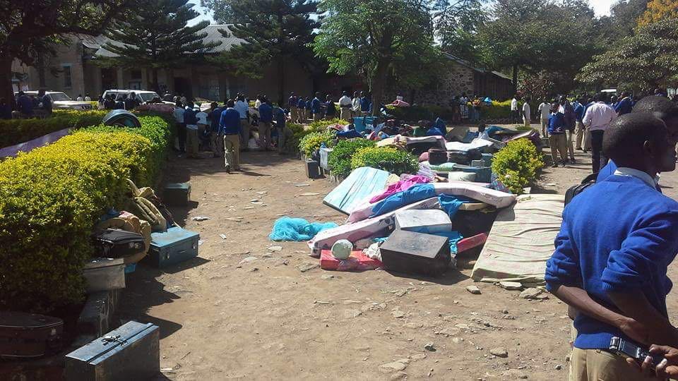 iyunga (4)