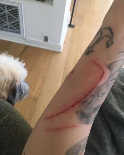 Miley-Cyrus-gets-clawed-by-a-cat