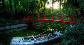 The World You Left Behind – 46 - Global Publishers