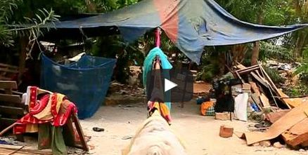 Global TV Online: Maisha mapya ya wahanga wa bomoabomoa Dar!