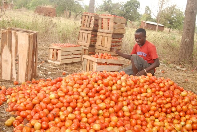 Unaacha buku 2 unataka nyama?