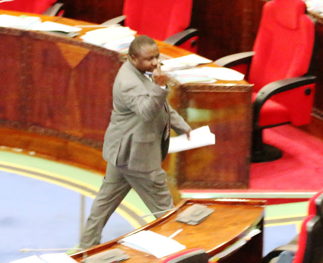 Dole la Kati Lililomponza Mhe. Sugu - Global Publishers