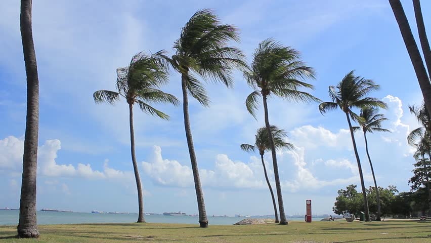 Mamlaka  Ya Hali Ya Hewa Yatoa Tahadhari Ya Kuwepo Upepo Mkali Pwani Leo - Global Publishers