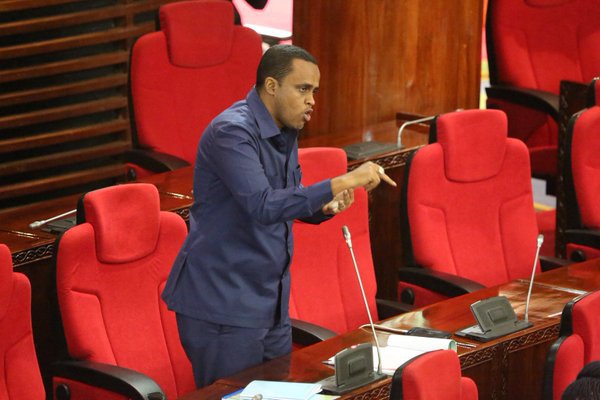 VIDEO: Povu la Hussein Bashe Bungeni Kuhusu Sakata la Madini, Msikie Hapa