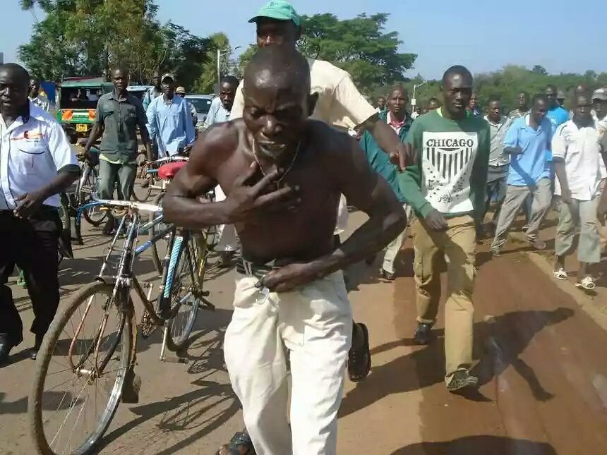 Mwizi wa Gari Ashambuliwa na Nyuki, Ajisalimisha Polisi - Global Publishers