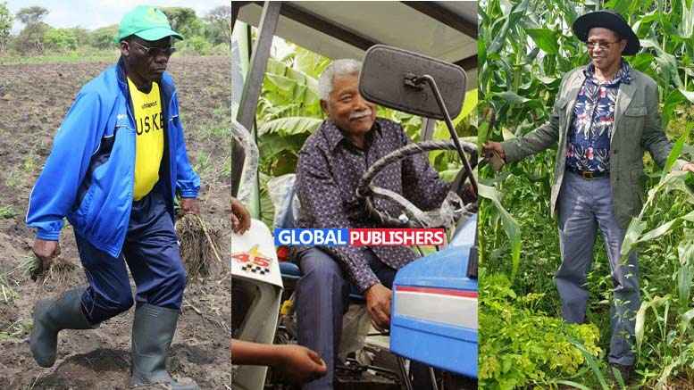 Vigogo Wastaafu Wakomaa na Kilimo na Ufugaji - Global Publishers
