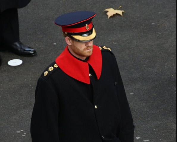 Ndevu za Prince Harry Zashutumiwa Kwenye Hafla Ya Kijeshi - Global Publishers