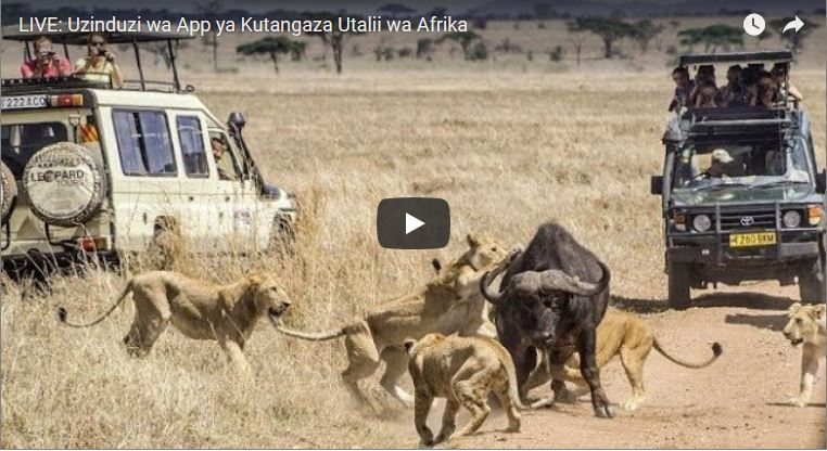 LIVE: Uzinduzi wa App ya Kutangaza Utalii wa Afrika (Video)