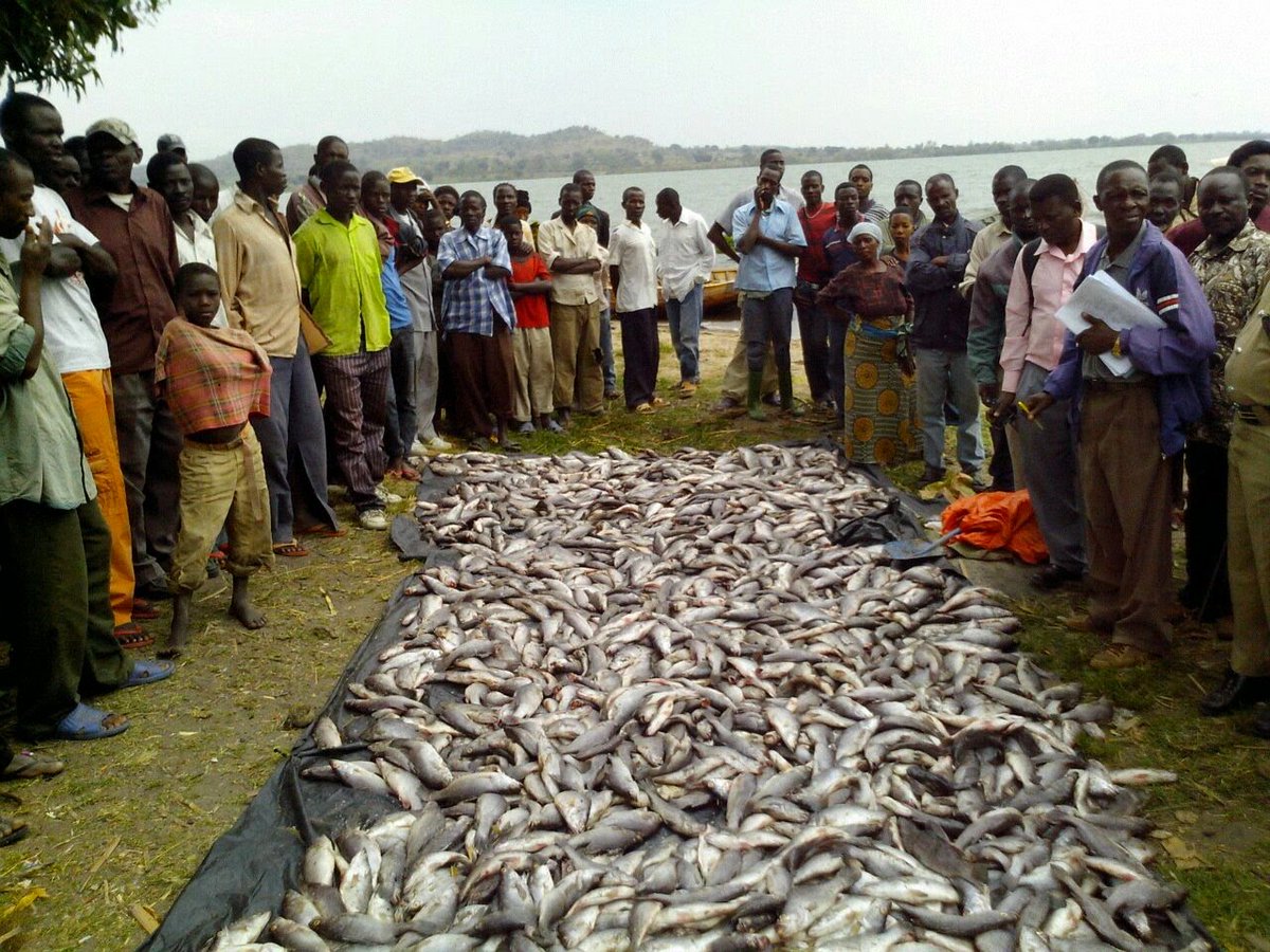 Waziri Awafuta Kazi Watumishi 65 kwa Uvuvi Haramu Kanda ya Ziwa - Global Publishers