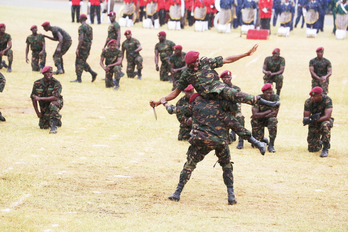 LIVE: Makomandoo Wakikinukisha Kwenye Sherehe za Muungano Dodoma - Global Publishers