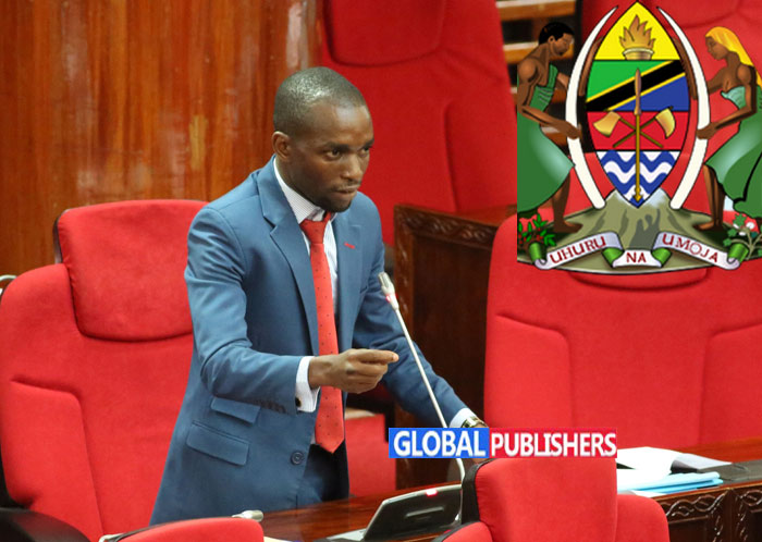 MLINGA AHOJI ‘BIBI’ KUVAA WIGI KWENYE NEMBO YA TAIFA