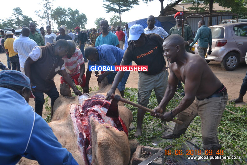 KIBOKO ALIYEZUA TAHARUKI MORO, WANANCHI WAGAWANA NYAMA YAKE - Global Publishers