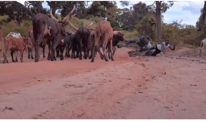 New Video: Gift Mwamba – Uvumilivu Official Video - Global Publishers