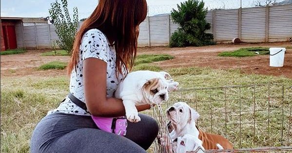 Siri ya Mahaba ya Sanchi na Mbwa! - Global Publishers