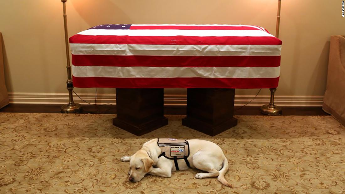 Mbwa wa Bush Alivyowagusa Wengi kwa Heshima Zake za Mwisho - Global Publishers