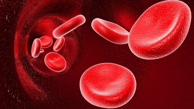 Athari za Tofauti ya Kundi la Damu la Mama na Mtoto - Global Publishers