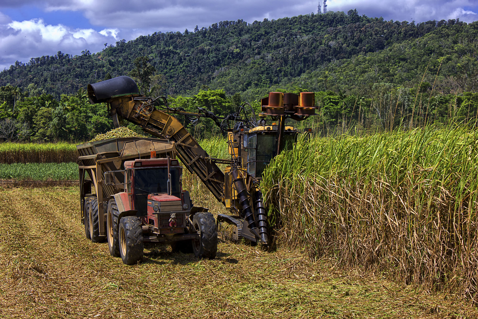 Nafasi Ya Kazi: Kilombero Sugar Company – Planning Officer