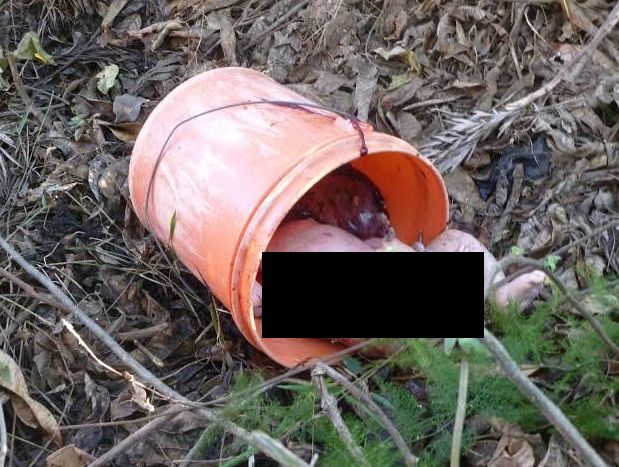 Makambako: Mwili wa Mtoto Watelekezwa Kwenye Ndoo - Global Publishers