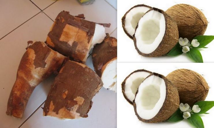 Faida Ya Kutafuna Mhogo, Nazi Kwa Wanaume! Soma Hapa - Global Publishers