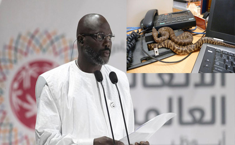 NYOKA WEUSI WAVAMIA IKULU, RAIS AKIMBIA OFISI - Global Publishers