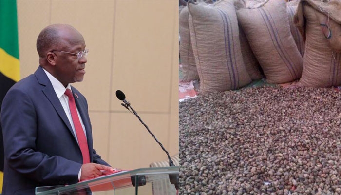 JPM Awasamehe Kangomba, Aagiza Walipwe Fedha zao za Korosho – Video - Global Publishers