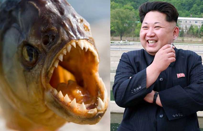 Rais Kim Jong Un Kutekeleza Adhabu ya Kifo, Watu Kufanywa Kitoweo! - Global Publishers