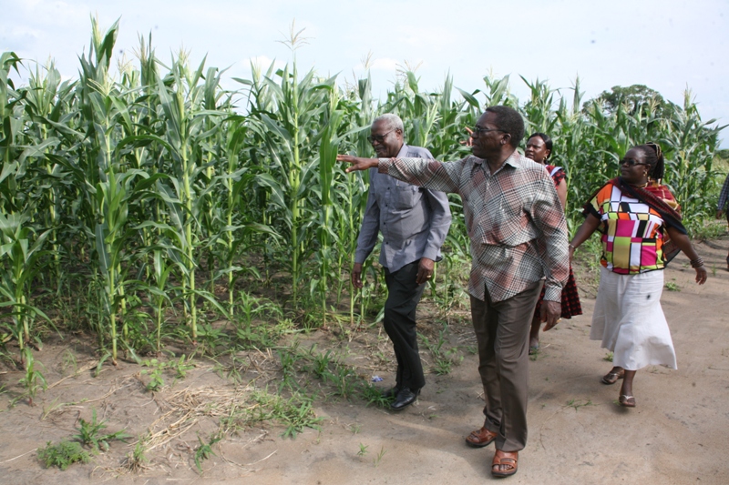 Exclusive: Mizengo Pinda Anavyopiga Mkwanja Shambani! – Video - Global Publishers