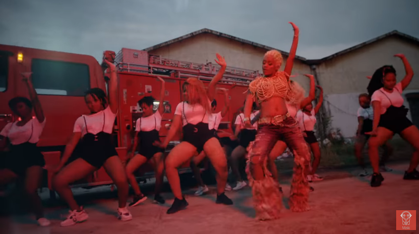 Video Mpya: Vanessa Mdee Ft. Rayvanny – BADO - Global Publishers