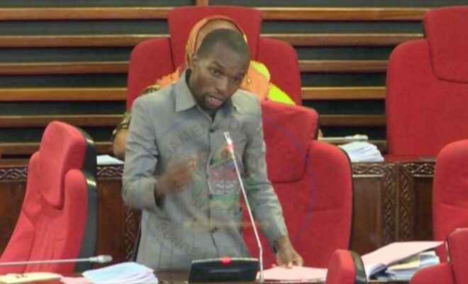 Mlinga Awalipua TANESCO, Waziri Amjibu – Video - Global Publishers