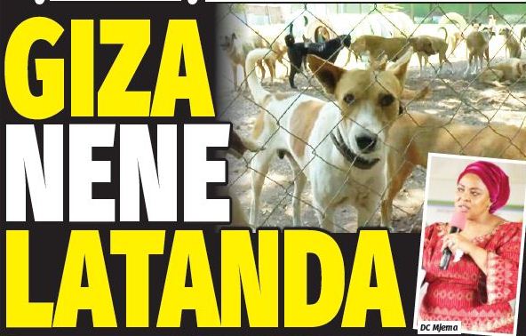 Mbwa 300 Kukutwa Nyumba Ya Serikali Dar… Giza Nene Latanda - Global Publishers