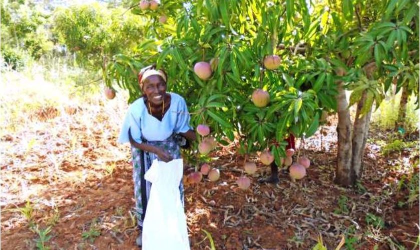 Afariki kwa Kupigwa na Radi Akichuma Maembe - Global Publishers