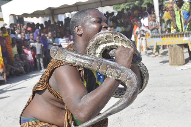 Nyoka wa Maonyesho Aua Mtu Katavi - Global Publishers