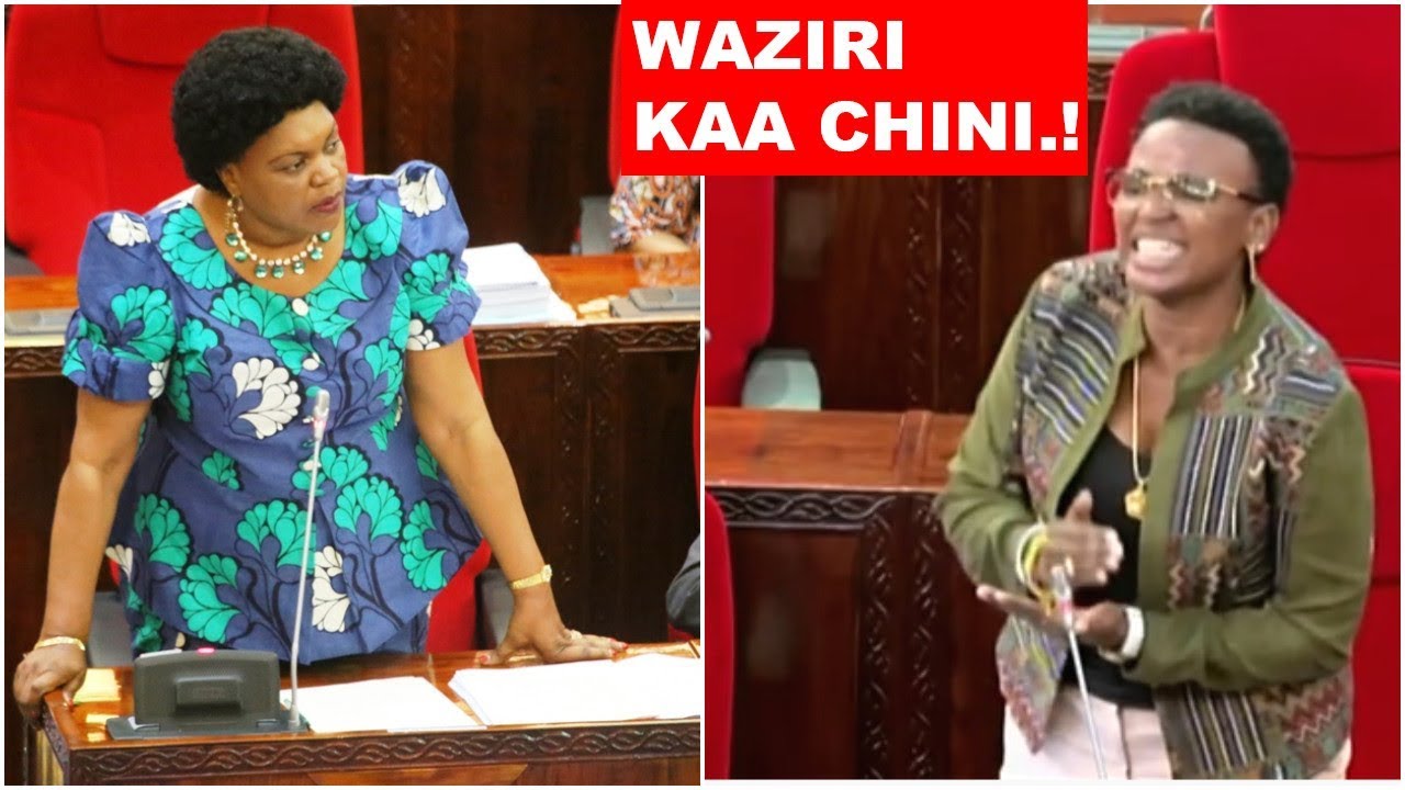 Halima Mdee ‘Avuruga’ Tena Bunge – Video - Global Publishers