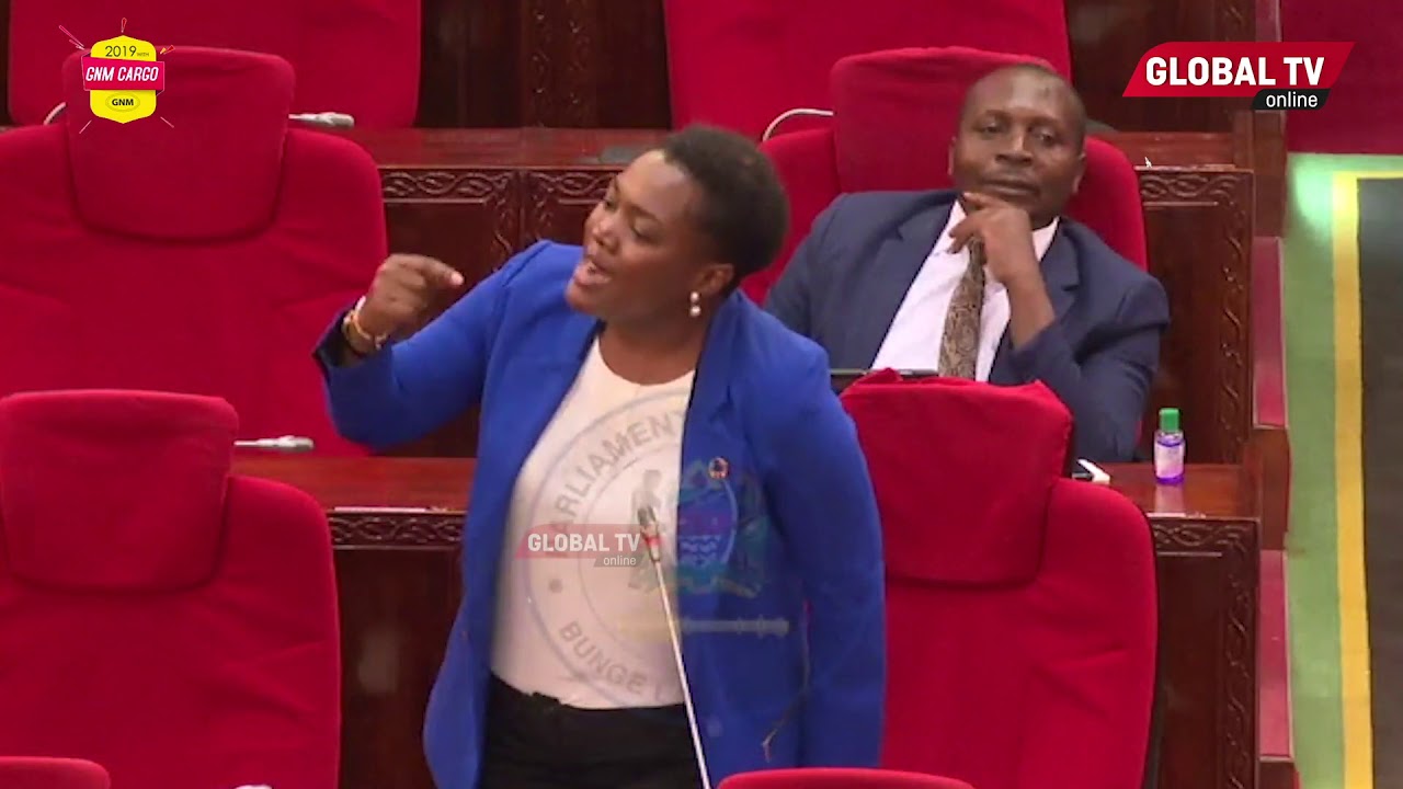 Makamba: “Ni Wizi, Hukai Bungeni” – Video - Global Publishers