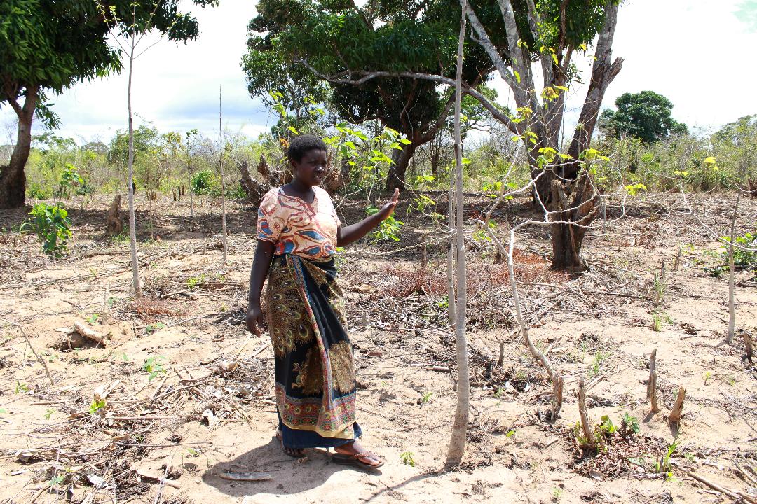 Jamii Yashauriwa Kuwatumia Wasaidizi wa Kisheria - Global Publishers