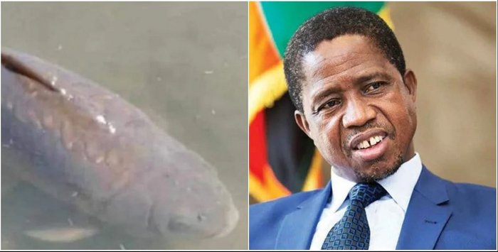 Rais Aongoza Maombolezo Kifo cha Samaki ‘Mafishi’ - Global Publishers