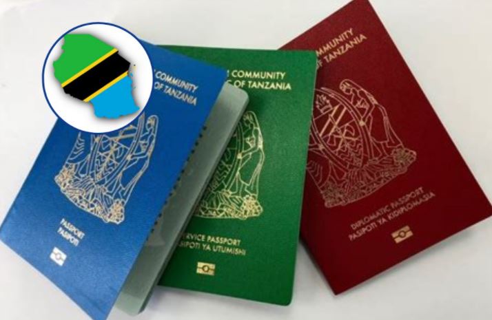 Mgombea Urais  Kufuta Kodi Majengo, NIDA,  Pasipoti Bure - Global Publishers