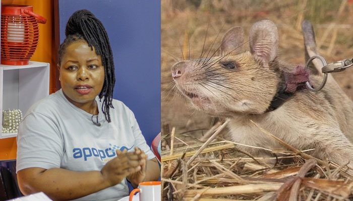 Pendo Msegu: Panya Magawa Mtegua Mabomu Yupo Single - Global Publishers