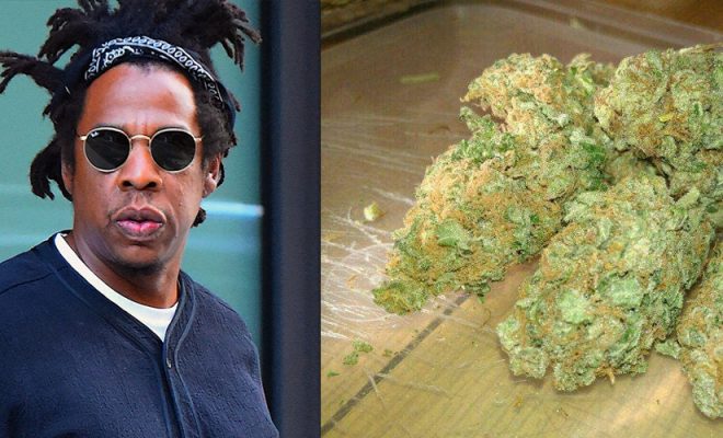 Jay Z Aanza Rasmi Biashara ya Bangi - Global Publishers