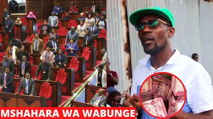 Mbunge Ausoma Hadharani Mshahara Wake – Video - Global Publishers