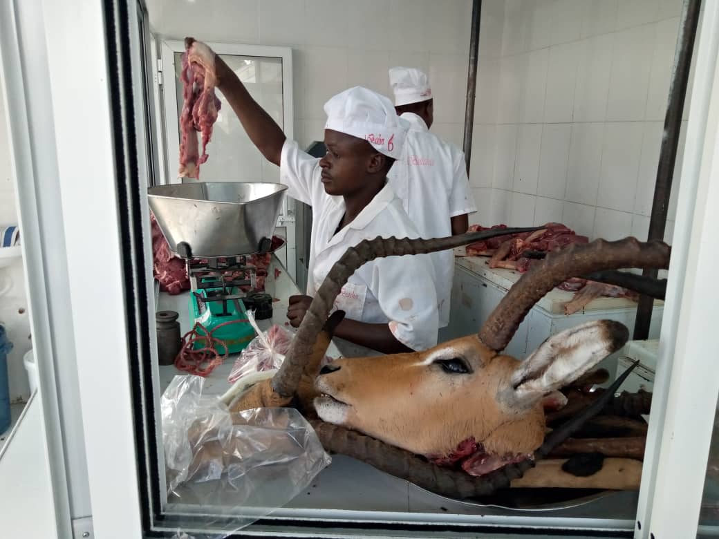 Bucha ya Kwanza ya Nyamapori Nchini Yafunguliwa - Global Publishers