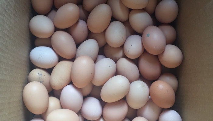 Wanafunzi Walazimisha Kula Mayai, Shule Yafungwa - Global Publishers