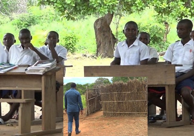 Mtwara: Wanafunzi Wasomea Chini ya Mkorosho - Global Publishers