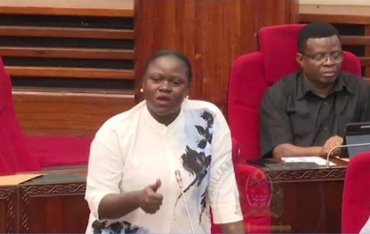 Sakata la Mitandao ya Simu Kupunguza Bando Lazua Mjadara Bungeni – Video - Global Publishers