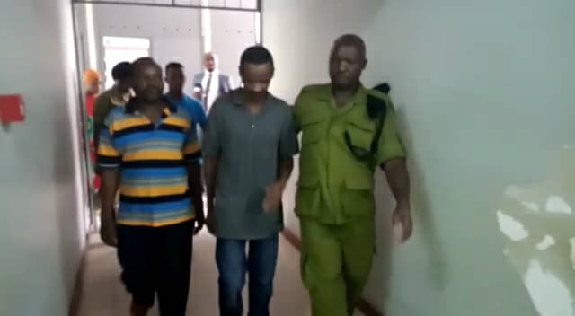 Kortini Kukutwa na Meno ya Simba, Tembo - Global Publishers