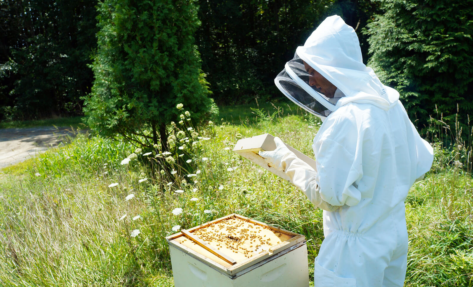 Nafasi za Kazi: Ifakara Institute – Field Supervisor/Assistant Entomologist – Bohemia - Global Publishers