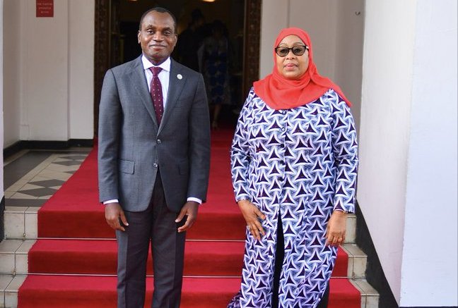 Rais Samia Akutana na Rais wa Mahakama ya Afrika - Global Publishers