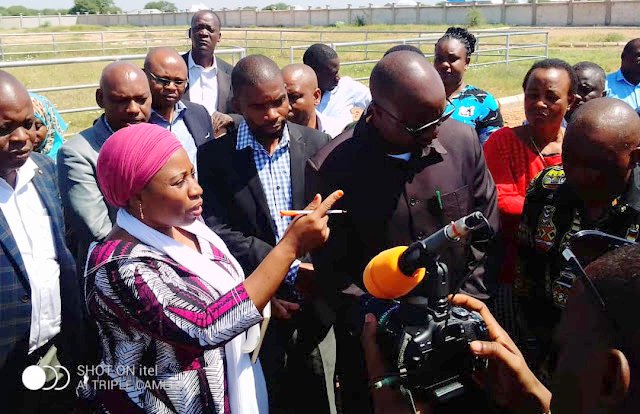 Waziri Ummy Awasimamisha Kazi Watumishi Wanne - Global Publishers
